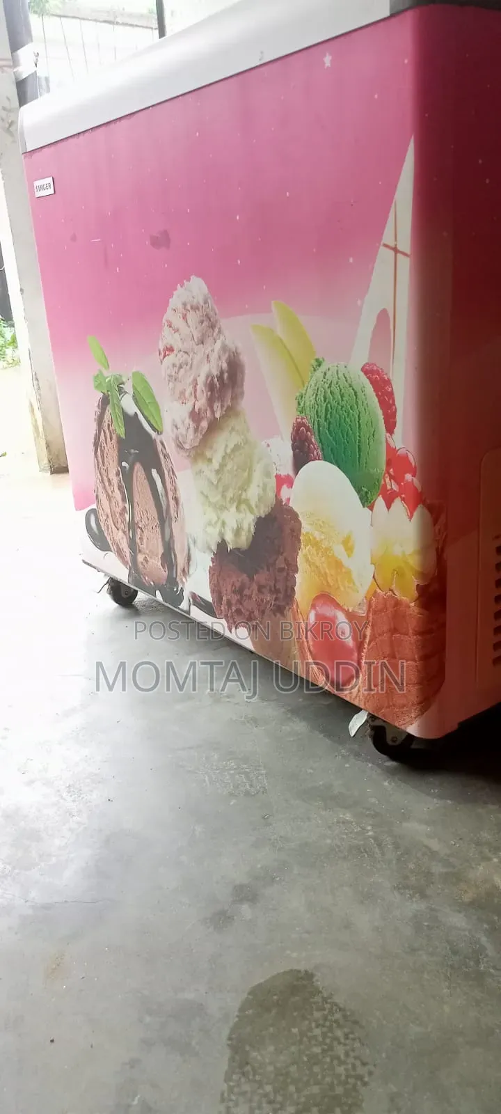 SINGER Commercial Display Freezer (164 Liter) for Sale!
