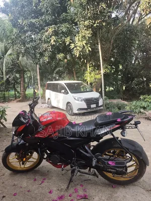 বাজাজ পালসার এনএস ১৬০ ২০১৯ রেড