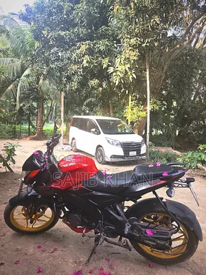 বাজাজ পালসার এনএস ১৬০ ২০১৯ রেড