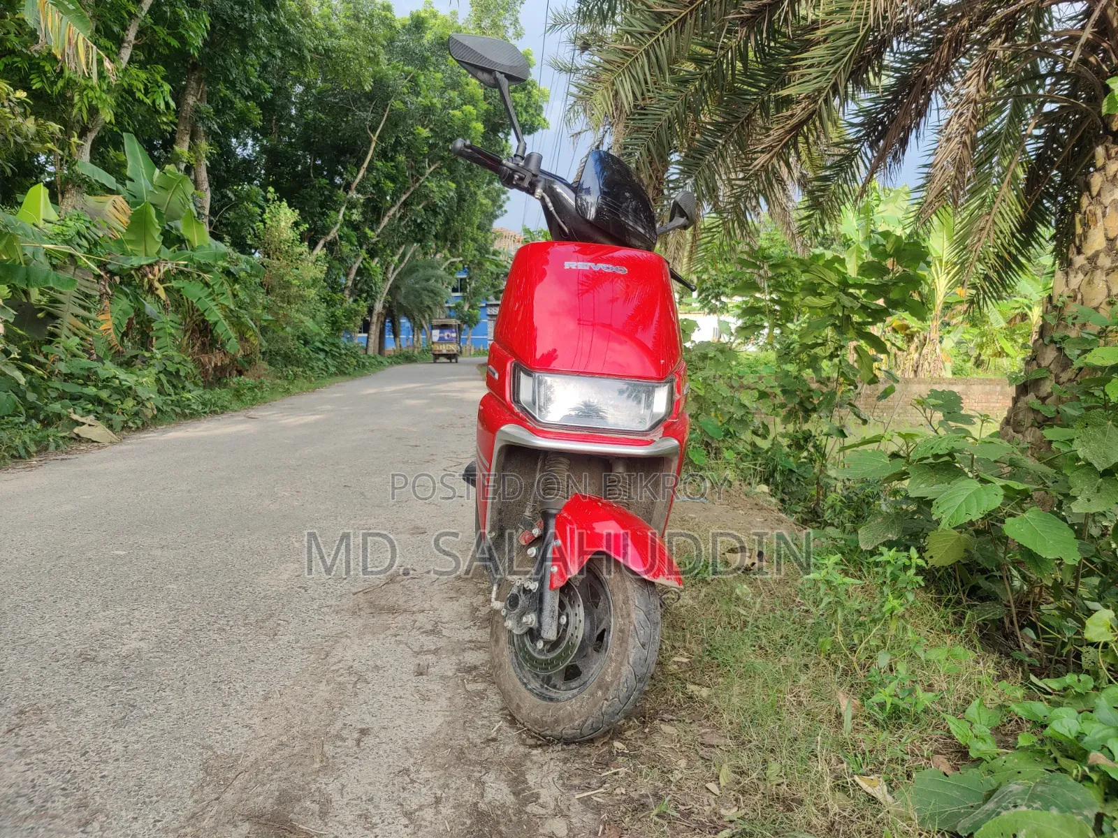 রেভ্যু এ১২-এস ২০২৫ রেড