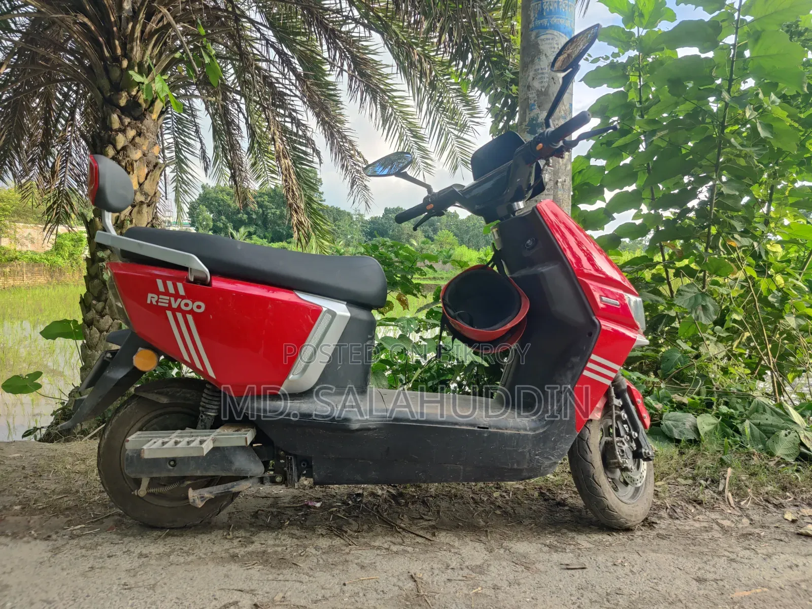 রেভ্যু এ১২-এস ২০২৫ রেড
