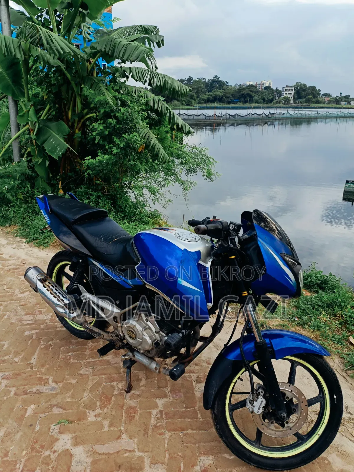 Bajaj Pulsar 150 2013 Purple
