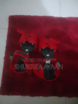 রোলার স্কেটস