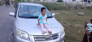 Toyota Axio 2007 Silver