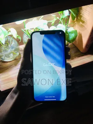 Apple iPhone 12 Pro Max 256 GB Graphite