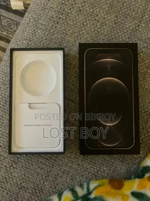 Apple iPhone 12 Pro Max 256 GB Gold