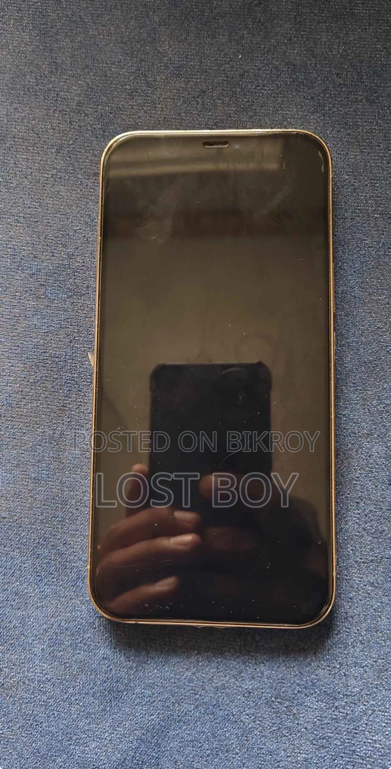 Apple iPhone 12 Pro Max 256 GB Gold