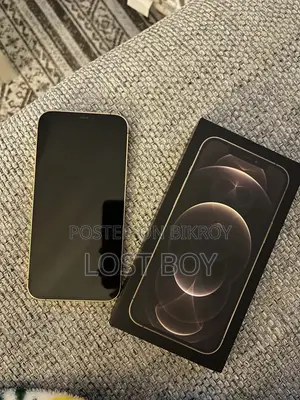 Apple iPhone 12 Pro Max 256 GB Gold