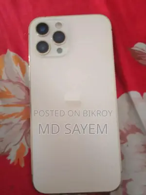 অ্যাপল আইফোন ১২ প্রো ম্যাক্স ২৫৬ জিবি রোজ গোল্ড
