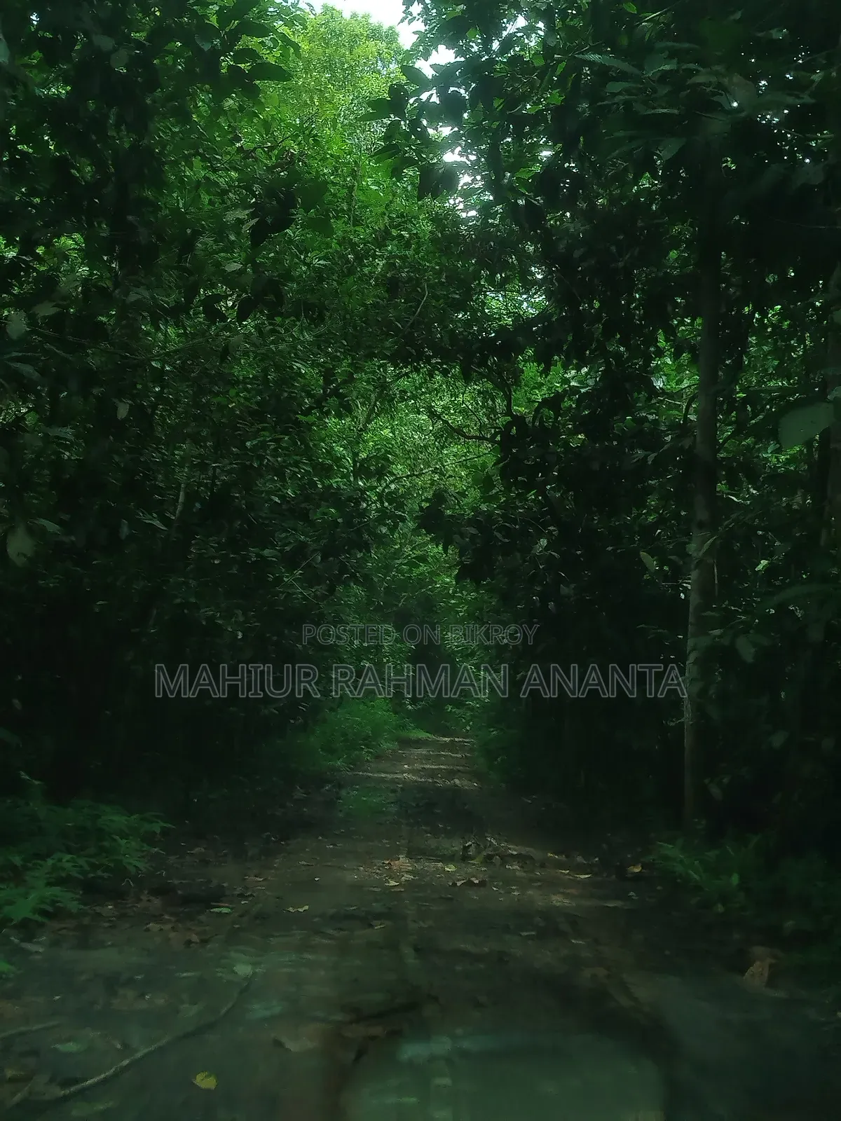 শাওমি রেডমি নোট ১৩ ২৫৬ জিবি নীল