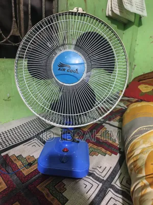 12 Inch Fan