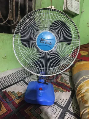 12 Inch Fan