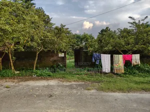 কম বাজেটে ৩ কাঠা প্লট ২৮ নং সেক্টরে ৩০ ফিট রোডে।