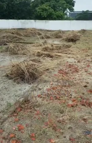 জমির শেয়ার