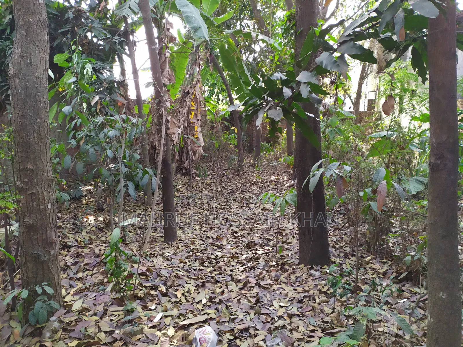 5 Decimal Land for Sale in Rajashon Savar, Perfect Place to Build a House.