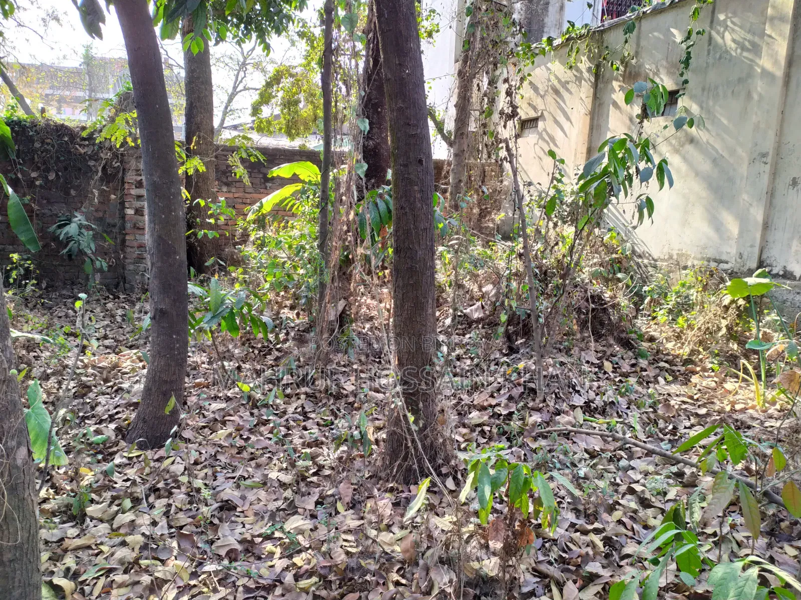 5 Decimal Land for Sale in Rajashon Savar, Perfect Place to Build a House.