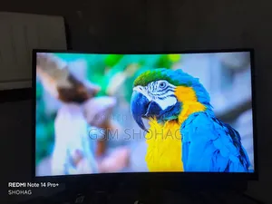 MSI 24 Inch Curved Monitor
