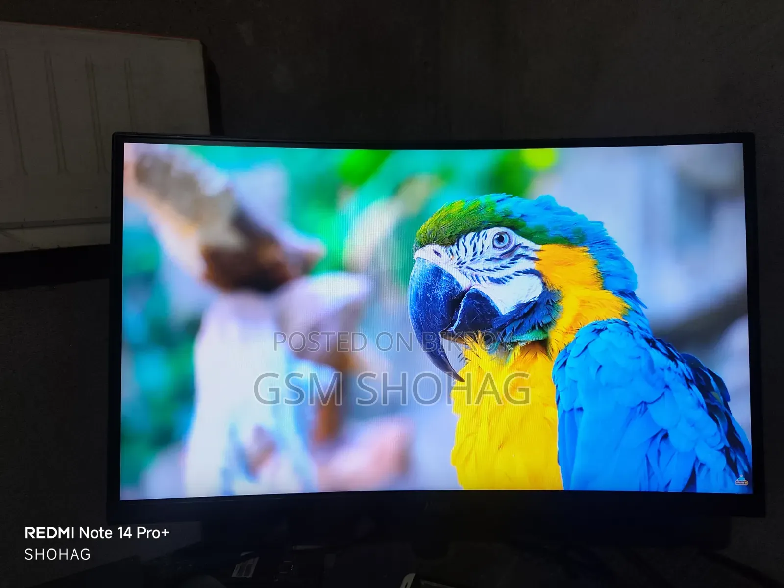 MSI 24 Inch Curved Monitor