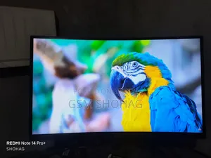 MSI 24 Inch Curved Monitor