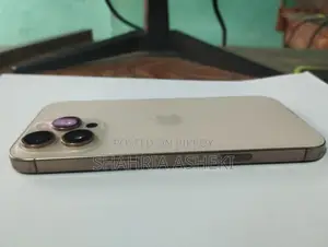 Apple iPhone 16 Pro Max 256 GB Gold