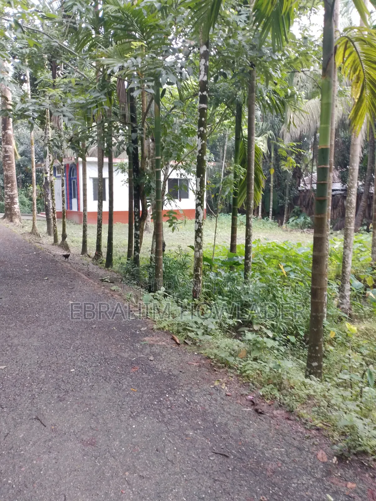 পাকা রাস্তার পাশে জমি বিক্রি হবে৷