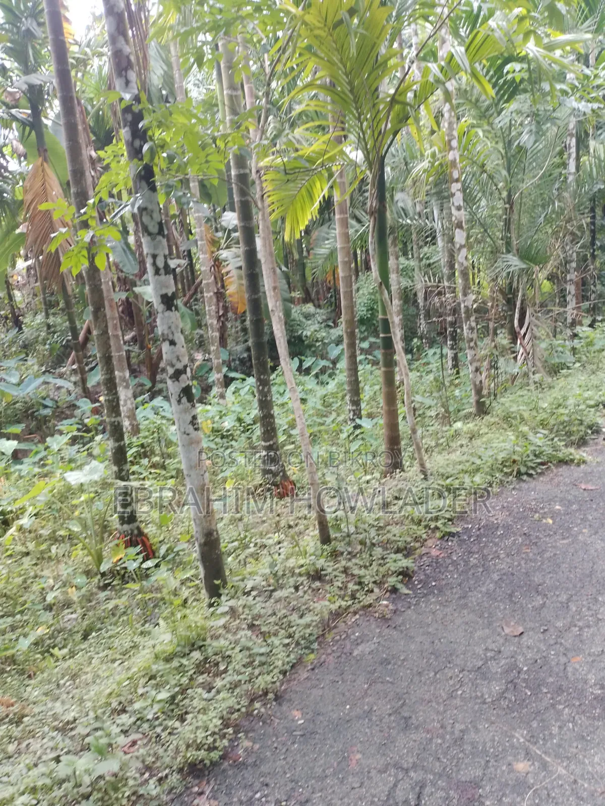পাকা রাস্তার পাশে জমি বিক্রি হবে৷