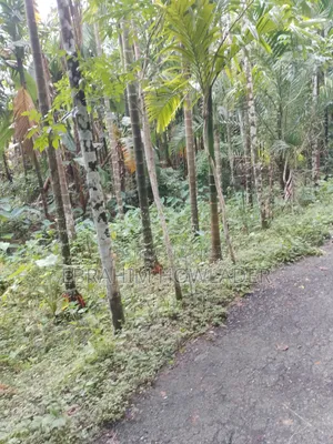 পাকা রাস্তার পাশে জমি বিক্রি হবে৷