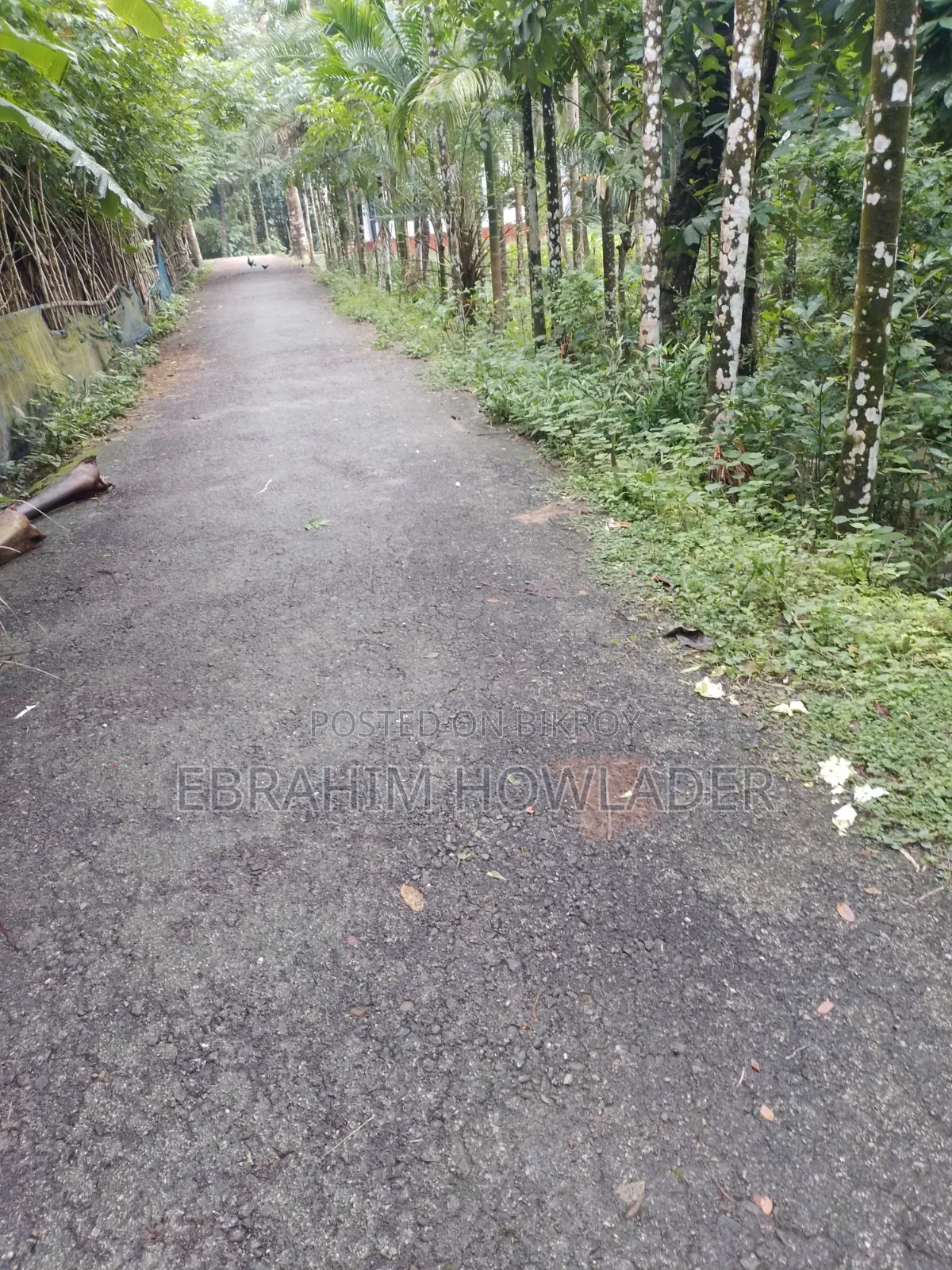 পাকা রাস্তার পাশে জমি বিক্রি হবে৷