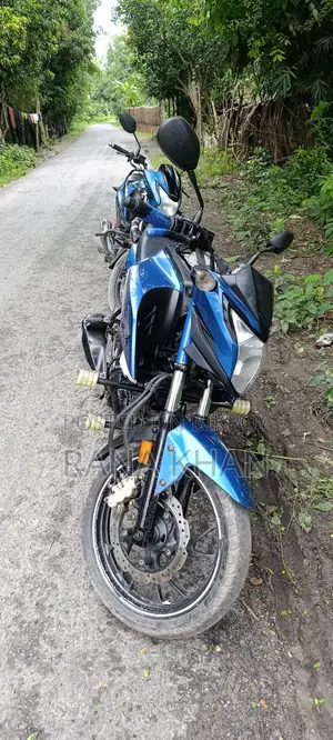 Honda Hornet 2019 Blue