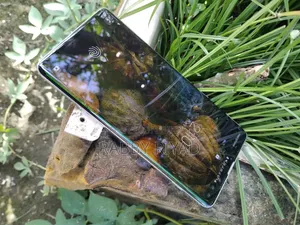 Samsung Galaxy S10 128 GB Pink