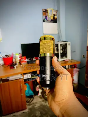 Condenser Microphone BM800+
