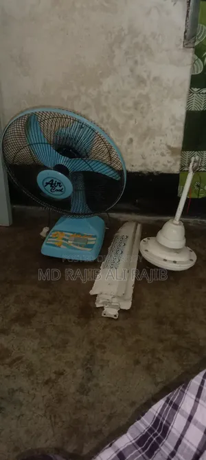 One ceiling fan and one table fan