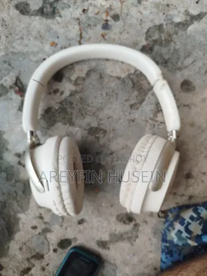 জেনটালিটি ই০০৫