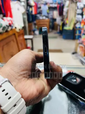 Apple iPhone 12 Pro Max 256 GB Blue