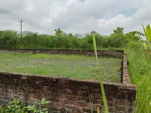 জমি এবং সম্পত্তি