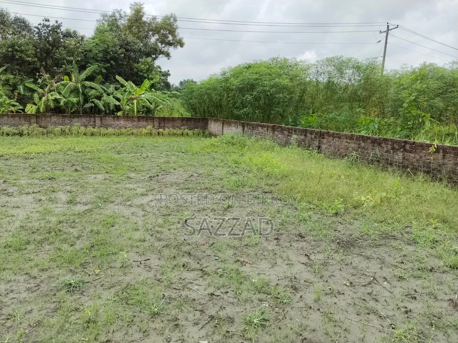 জমি এবং সম্পত্তি