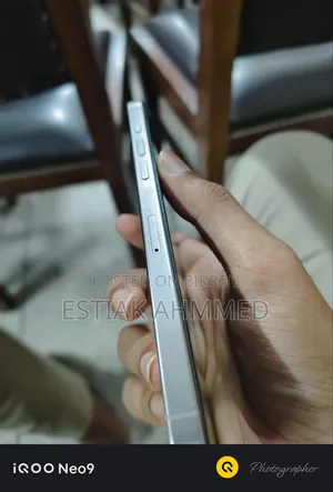 Apple iPhone 15 Pro Max 256 GB Silver