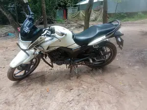 হিরো হাঙ্ক ২০১৭ হোয়াইট