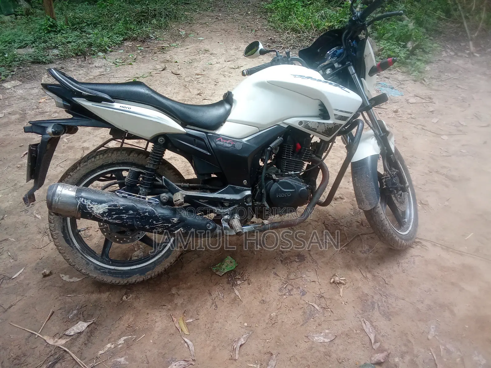 হিরো হাঙ্ক ২০১৭ হোয়াইট
