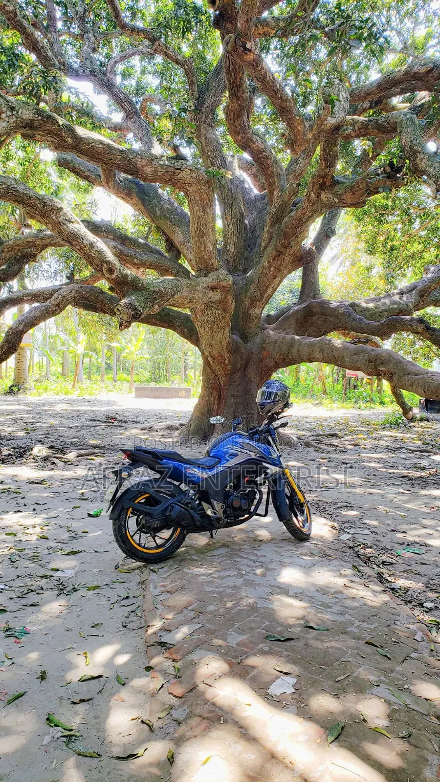 Honda Hornet 2018 Blue