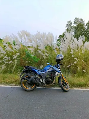Honda Hornet 2018 Blue