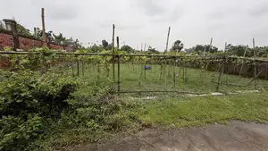 5 Katha Plot for Sale Purbachal Sec 17