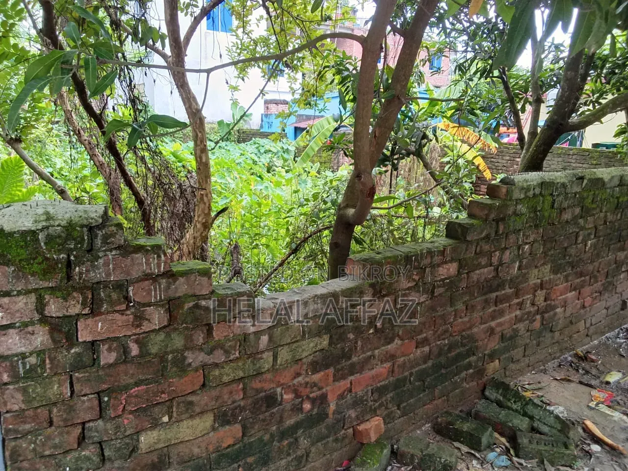 নিরালা জমি