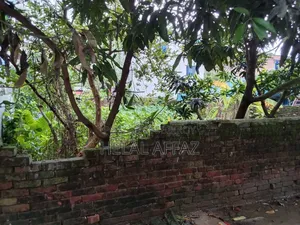 নিরালা জমি