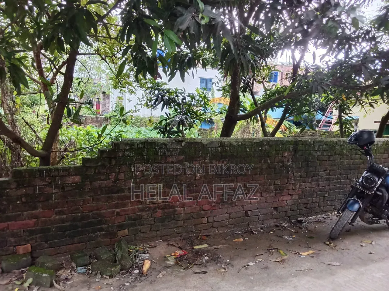 নিরালা জমি