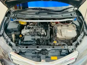 Toyota Axio 2014 Gray