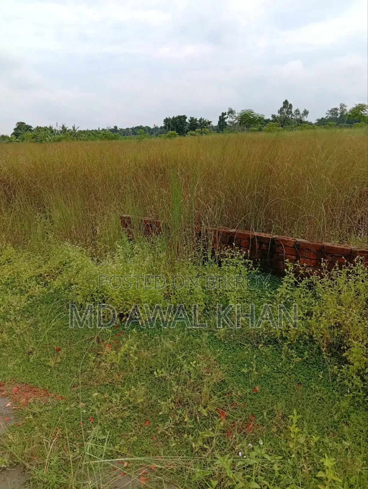 বসুন্ধরা ব্লক এন এক্সটেনশনে ১২ কাঠা জমি বিক্রি
