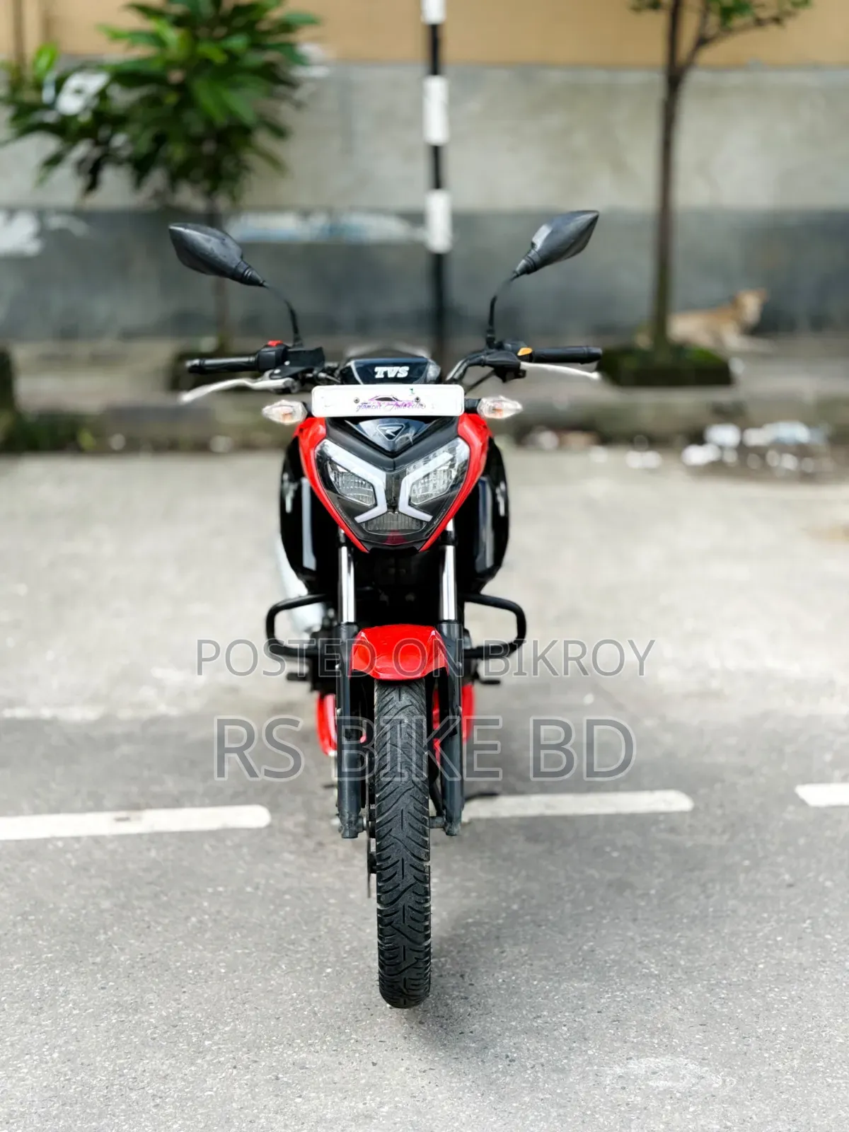 TVS Raider 125 2022 Red