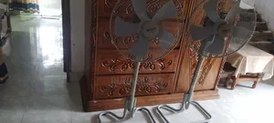 মীরা স্ট্যান্ড ফ্যান