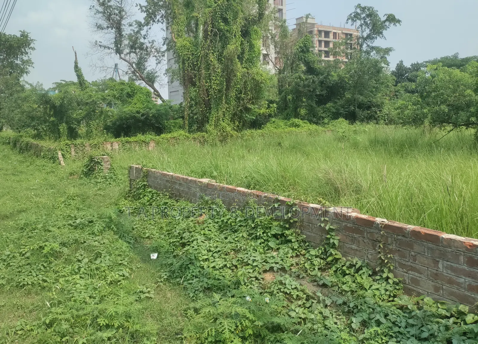 এন ব্লক ২৪ কাঠা প্লট বিক্রি, দুই পাশের রাস্তা দক্ষিণ উত্তরমুখী
